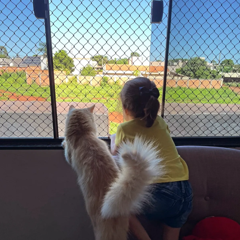 Redes braga 3 768x768