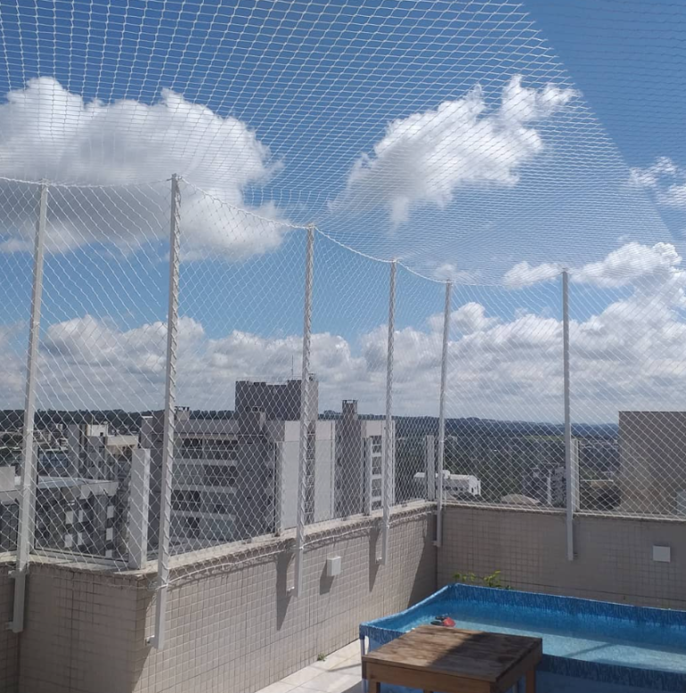 Shultz Redes 2 768x776