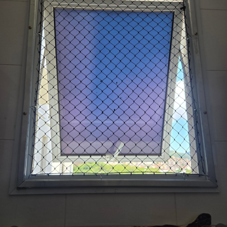 ilha dos varais 1 1 768x766