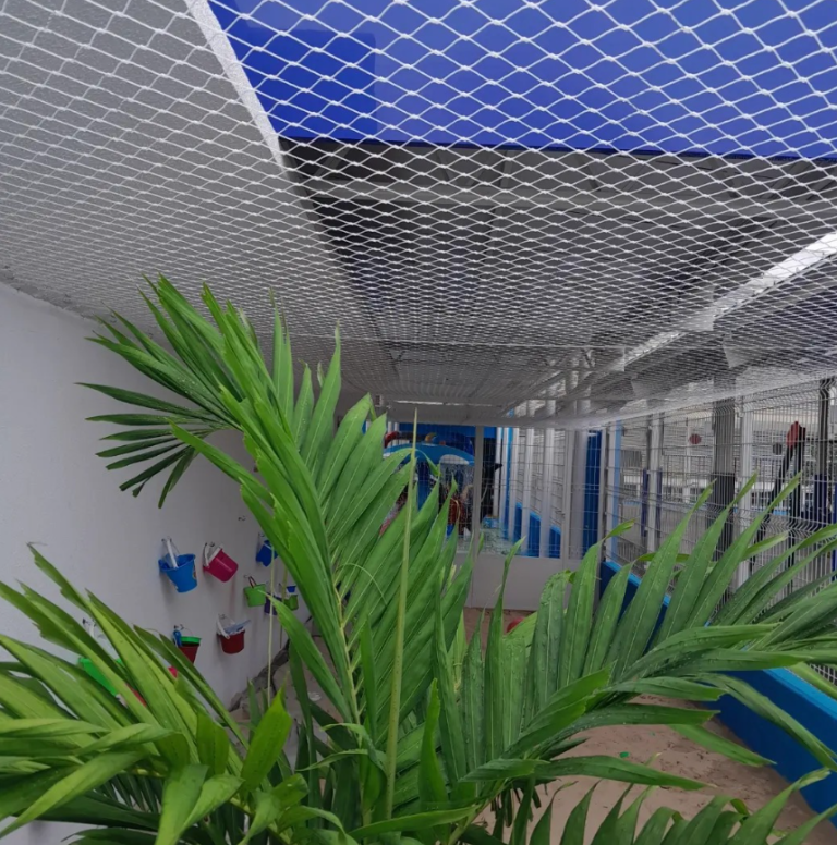 mais protecao 2 768x776